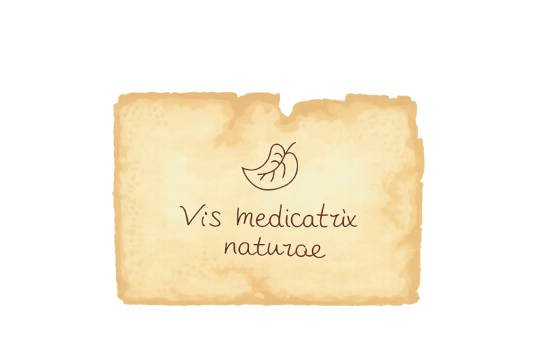 Cos’è la naturopatia